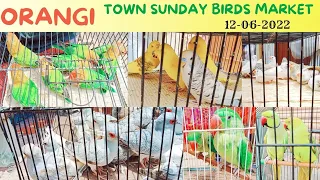 ORANGI Birds Market Sunday Video|Latest Update 12-06-2022 in Urdu Hindi | Birds Market Karachi