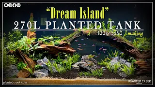 270L Planted tank "Dream Island" #newvideo #aquascaping #plantedcreek