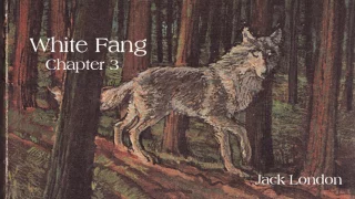 Jack London's: White Fang chapter 3