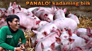 3 INAHING BABOY NANGANAK NA... PANALO SA DAMI NG BIIK