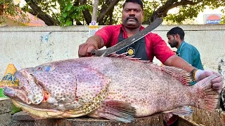 KASIMEDU 🔥 SPEED SELVAM | GIANT BROWN GROUPER FISH CUTTING VIDEO | IN KASIMEDU | FF CUTTING 🔪