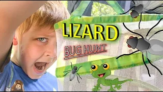 Lizard BUG HUNT for KIDS!! Bug Hunt for REAL BUGS to feed our PET LIZARD!!