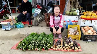 FULL VIDEO: Harvest Sugarcane & Dong Leaves, Green Vegetables Goes to the market sell