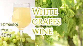 Homemade White Grapes Wine Recipe | Grape Wine | White Wine in 5 Days | Instant Wine