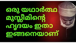 ഒരു യഥാർത്ഥ മുസ്ലീമിന്റെ ഹൃദയം ഇതാ ഇങ്ങനെയാണ്💕