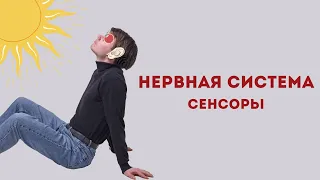 НЕРВНАЯ СИСТЕМА (сенсоры)