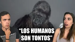 3 ANIMALES QUE HABLARON Y DEJARON TRISTES MENSAJES AL MUNDO😭