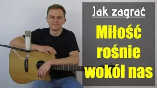 #132 Jak zagrać na gitarze Miłość rośnie wokół nas (Can you fell the love tonight) - JakZagrac.pl