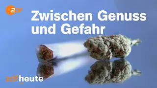 Cannabis-Legalisierung: Welche Auswirkungen hätte sie?