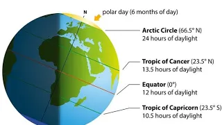 What are the tropics and the polar circles? What is the equator?