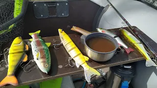 Daiwa Tatula 300 XSL + свимбейты. Тестовая рыбалка.