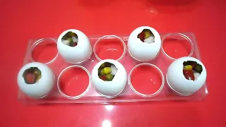 Вкусный холодец в яичной скорлупе / ЗАЛИВНЫЕ ЯЙЦА на ПАСХУ / Необычная ЗАКУСКА на праздничный стол