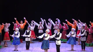 Квітуче Поділля. Ансамбль "Радість", м.Вінниця, https://radistdance.com.ua/