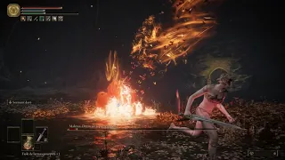 NG+7 Level 1 - Malenia [No Bleed/Frost, No Damage, No Parry, No Bloodhoud's Step, Solo] WORLD FIRST