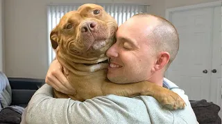 These dogs couldn't contain their joy when they saw their owner again.