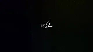 Tu Andy jndy saa wrga | Punjabi song | Urdu lyrics | black screen song