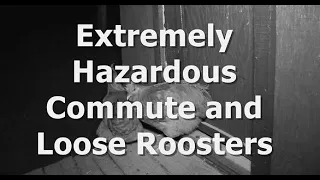Extremely Hazardous Commute and Loose Roosters