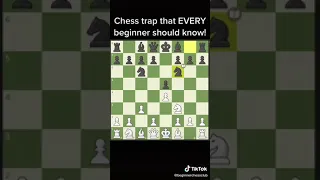 Chess trap that every beginner should know2! @beginnerchessclub #shorts #chess #catur #chesscom