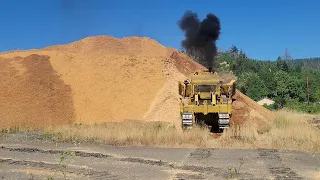 Caterpillar D9G dozer ramping up the back end of the shavings pile