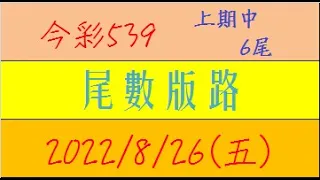 今彩539 『尾數版路』上期中6尾【2022年8月26日(五)】肉包先生