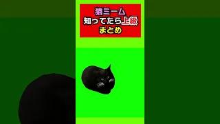 これ知ってたら上級者！人気の猫ミームこのmeme見たことある？