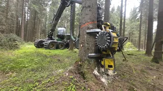 John Deere 1270G & MS 462 auf Käferholz - Jagd [ 1 : # ]