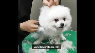 How to use Curved Scissors and Curved Chunker Scissors for Dog Grooming?