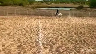 cavalo dispara com vaqueiro   e joga  ele por cima da cerca