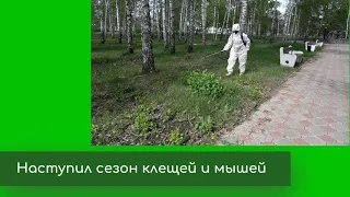 Наступил сезон клещей и мышей