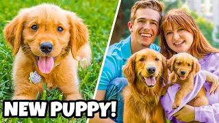 Surprising MY DOG With A Little SISTER! 🐶