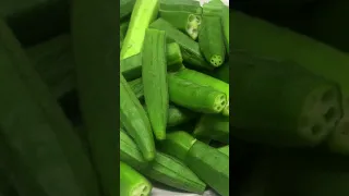 BHARWA BHINDI RECIPE | BHARWA BHINDI MASALA | Stuffed Okra | BHARWA Bhindi recipe in Urdu