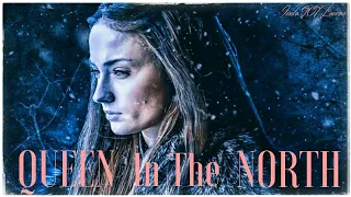 Sansa Stark || Queen In The NORTH || Tribute || Little Dove || Game of Thrones 🐉