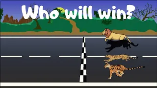 Race OF THE BIG CATS (animation)