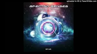Spectro Senses - Circle Forms (Original Mix)