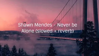 Shawn Mendes - Never be Alone (slowed + reverb)