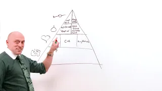 18  Approach to Dyspnea