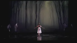 GISELLE ACT 2 MARGARITA FERNANDES ANTONIO CASALINHO MARGARIDA GONCALVES KIKO GOMES  (MAINA GIELGUD)