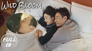 【FULL】Wild Bloom EP19： Banxia and Zhao Lei Kiss and Confirm Their Relationship | 风吹半夏 | iQIYI