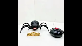 Павук на радіокеруванні Чорна вдова Z2112