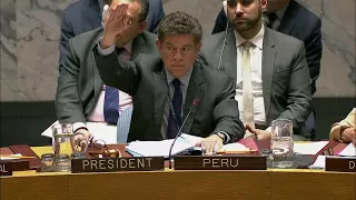 Security Council Votes on Draft Resolution S/2018/321 on Syria (10 April 2018)