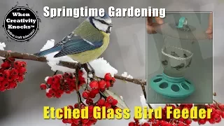 Etched Glass Bird Feeder