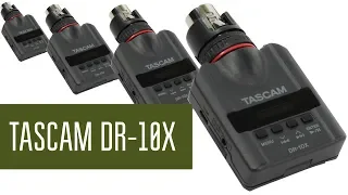 Tascam DR-10X - лучший audio recorder для записи звука в полях. На что я пишу звук при съёмках.