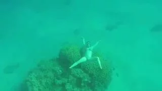 Freediving. Фридайвинг для девушек на Красном море