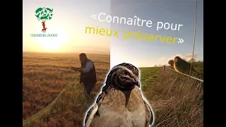 Suivi des oiseaux en milieux agricoles