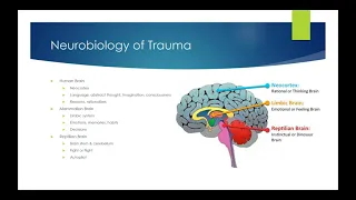 Trauma & the Body: How Trauma Manifests in the Body and Informs Approaches to Healing