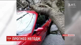 Потужний буревій дістався до західних областей України