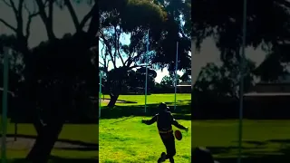 Recreating Jamie Elliott’s goal after the siren