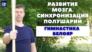 Развитие мозга. Система БЕЛОЯР. Синхронизация полушарий. Работа с осями и плоскостями человека.