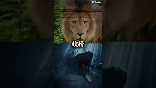 モササウルスVSライオンネタ強さ比べ　