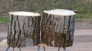 300 win mag 210 gr Solids vs 2 GIANT Logs (max handloads)